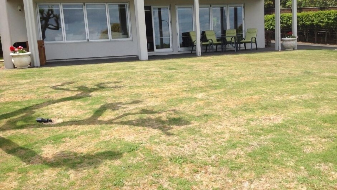 Photo of Others in Hilltop