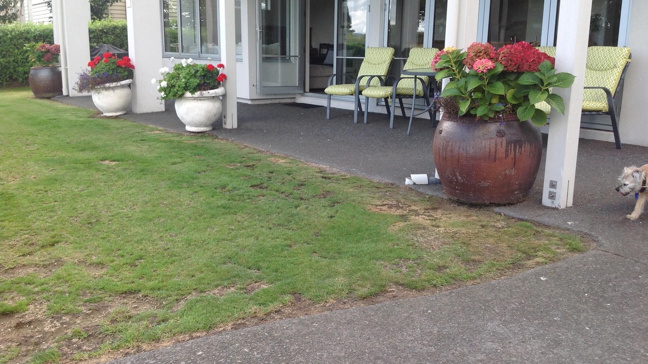 Photo of Outdoor in Hilltop