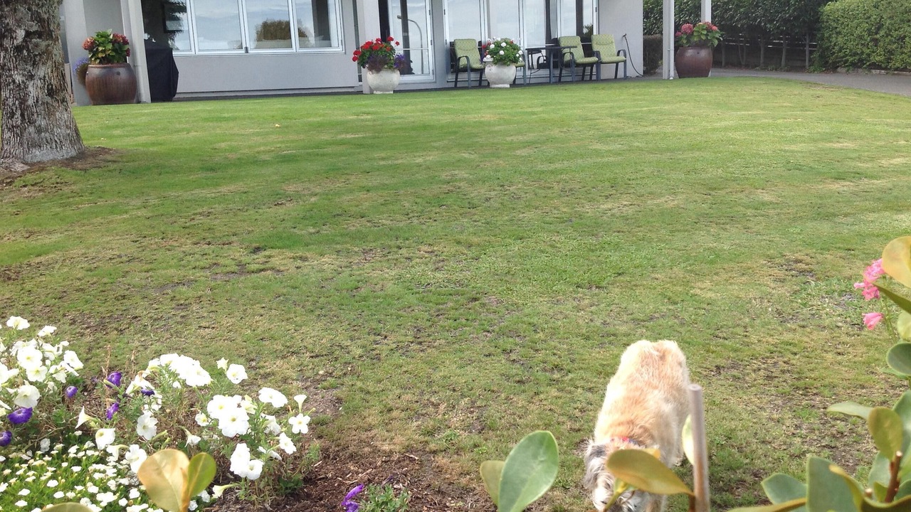 Photo of Others in Hilltop