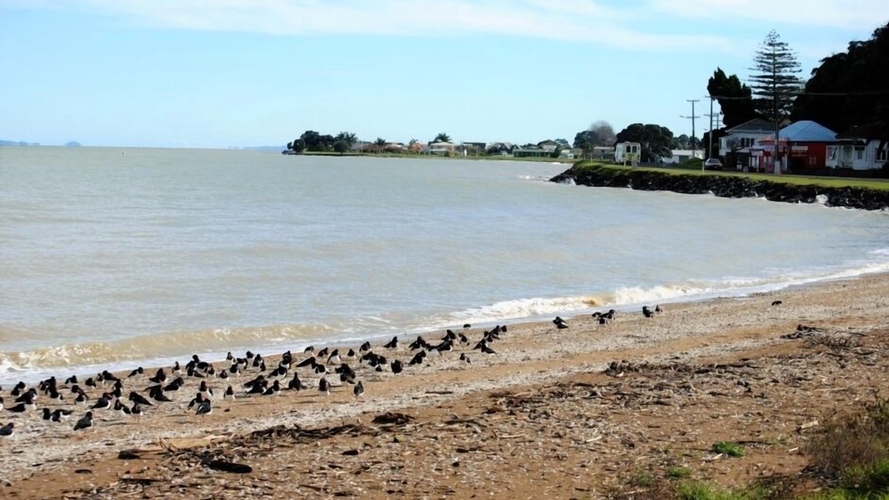 Photo of Others in Thames