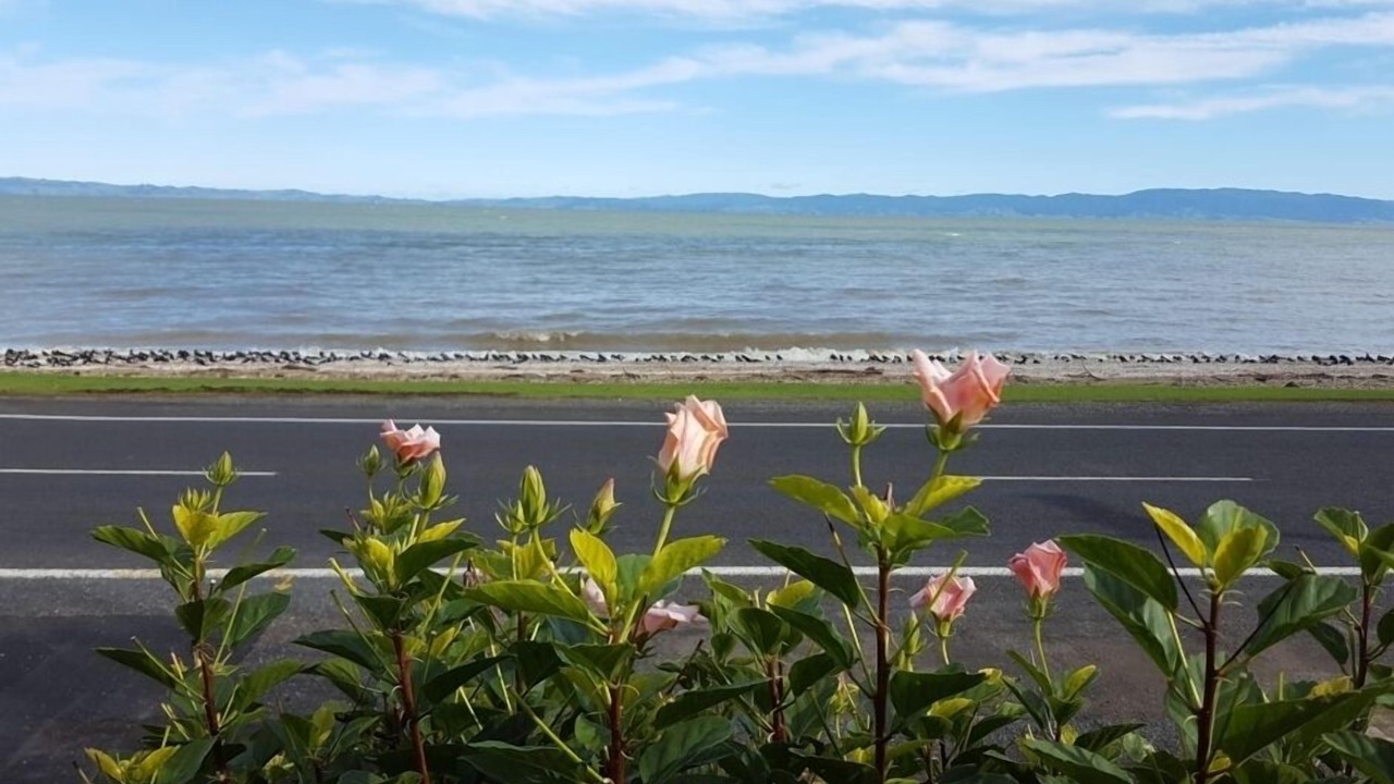 Photo of Others in Thames