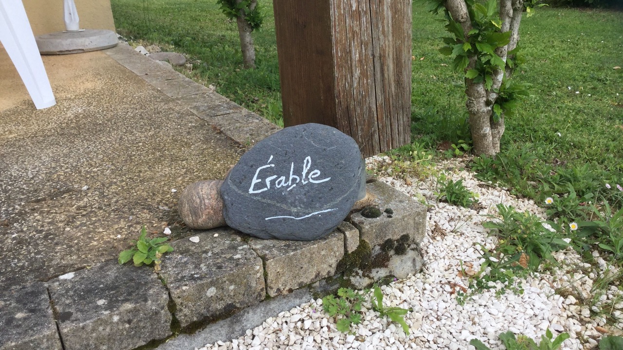 Photo of Outdoor in Castels