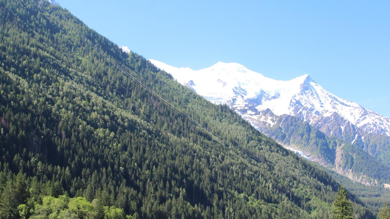 Photo of Others in Chamonix City Centre