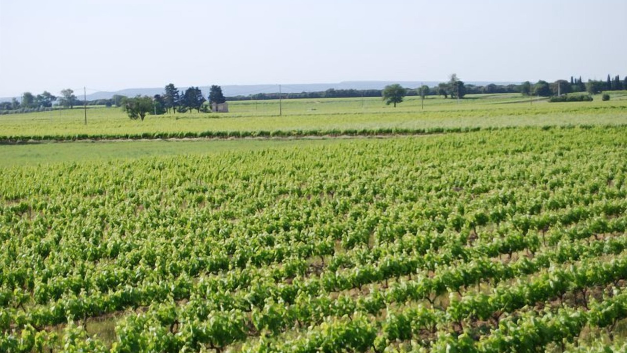 Photo of Outdoor in Tulette