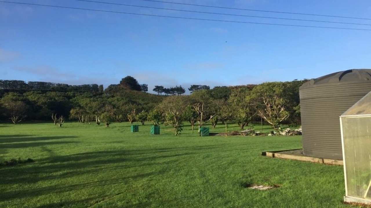 Photo of Others in Baylys Beach