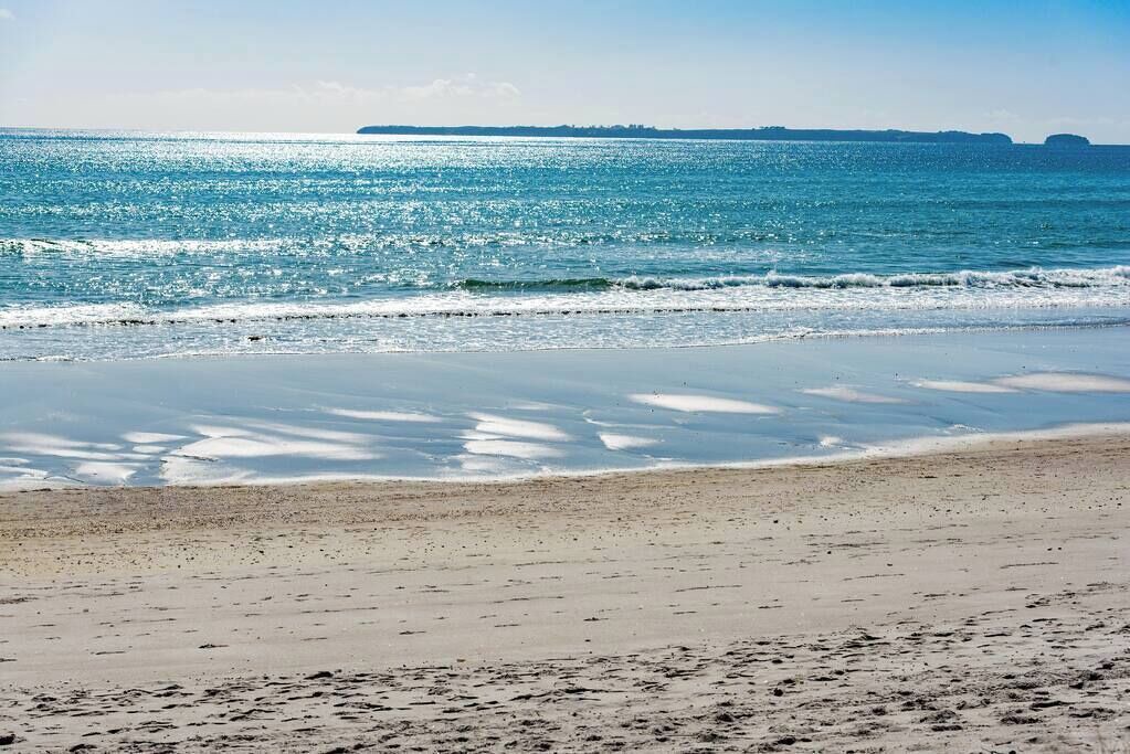 Photo of Others in Papamoa Beach