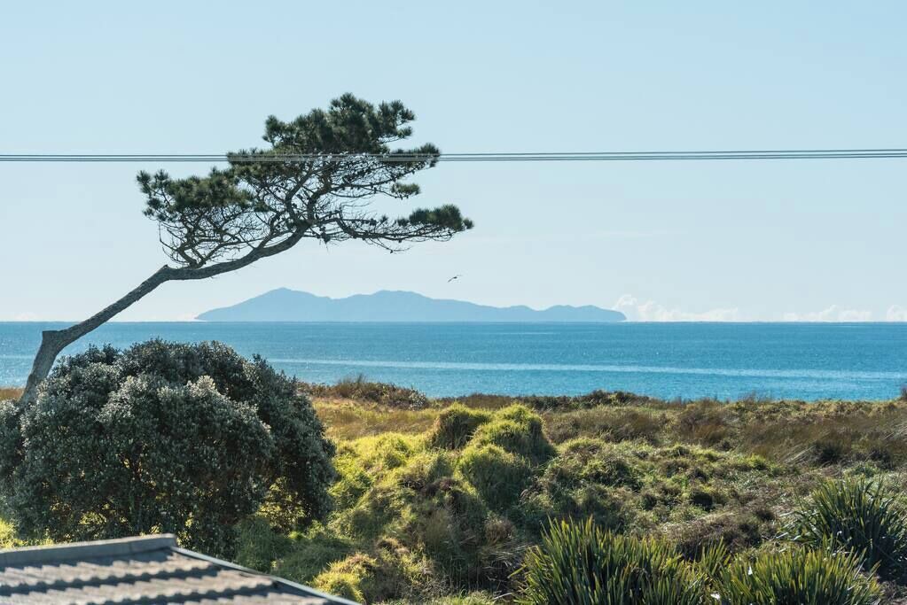Photo of Others in Papamoa Beach