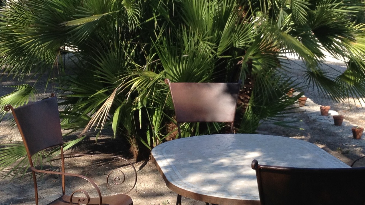 Photo of Outdoor in Carnas
