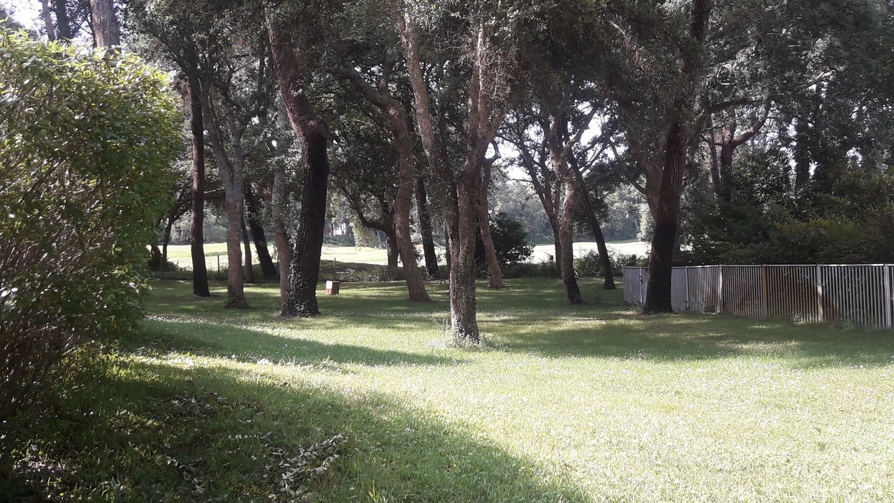 Photo of Outdoor in Moliets-et-Maa