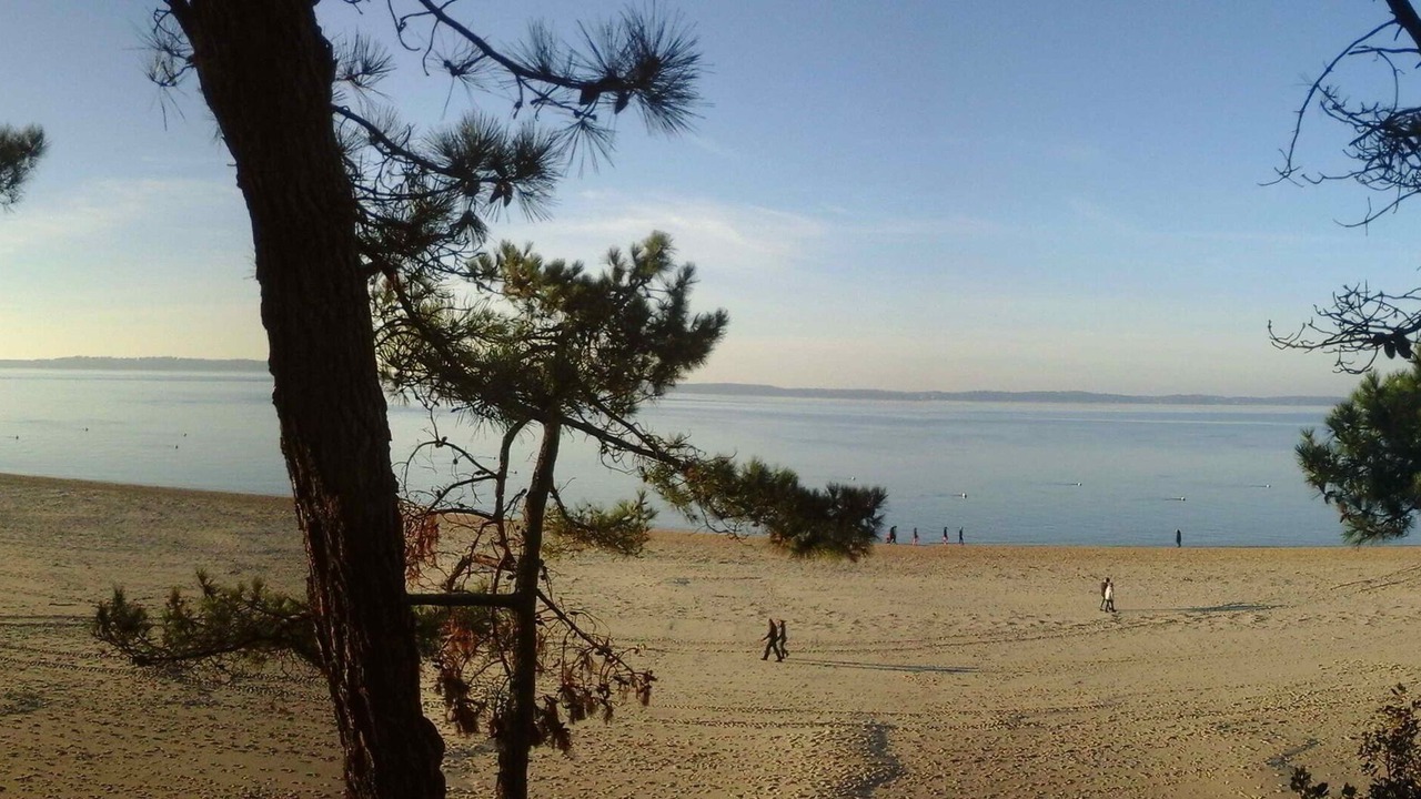 Photo of Others in Arcachon