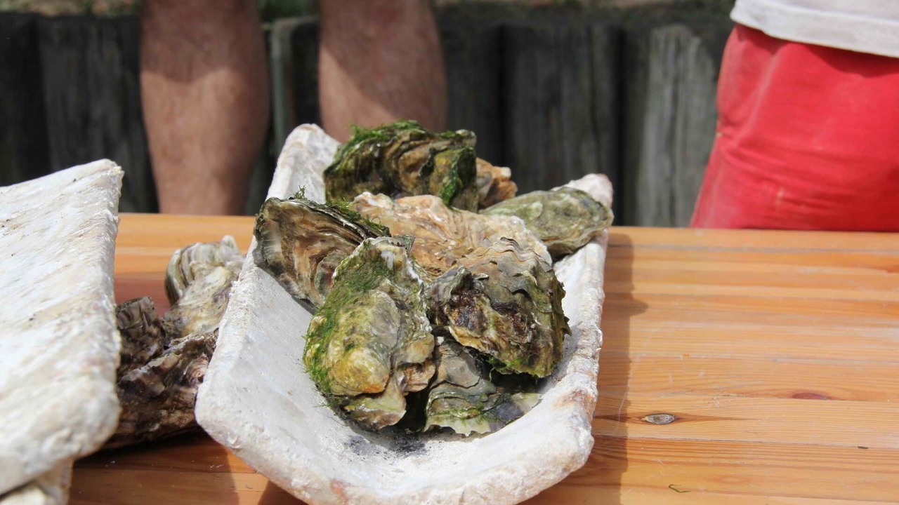 Photo of Others in Arcachon