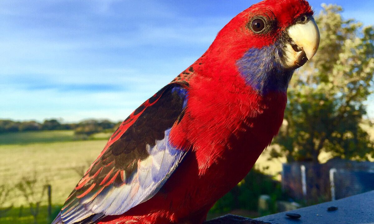 Photo of Others in Sandy Point
