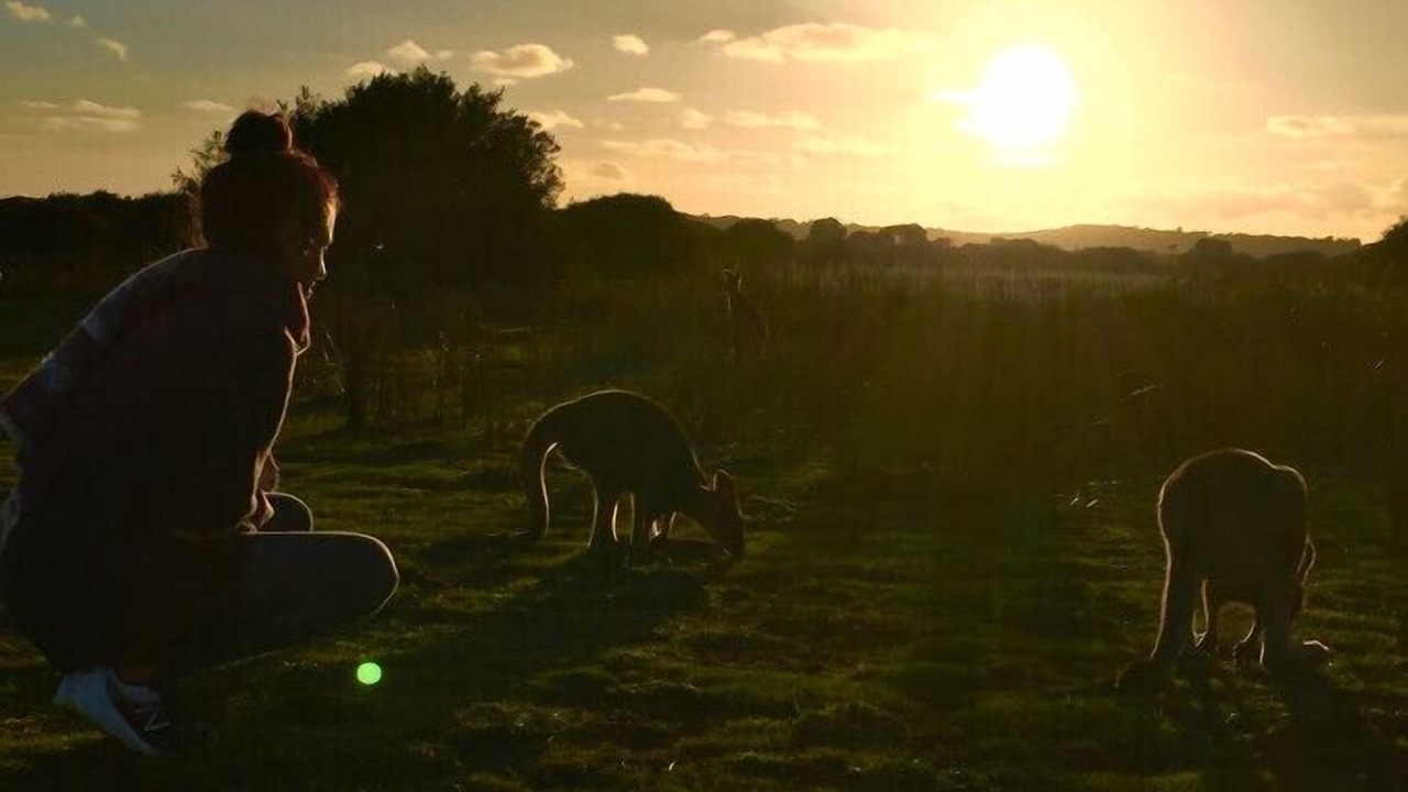 Photo of Others in Sandy Point
