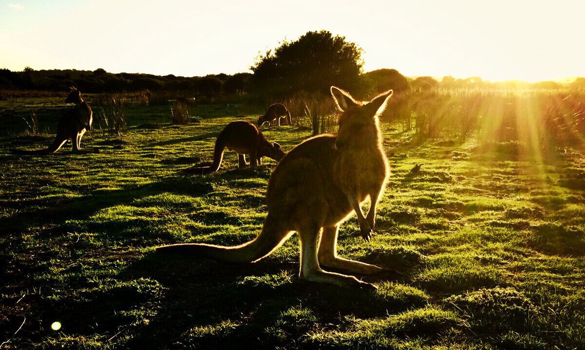 Photo of Outdoor in Sandy Point