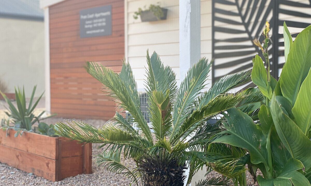 Photo of Outdoor in Sandy Point