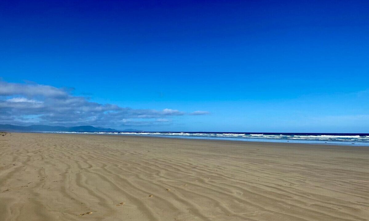 Photo of Others in Sandy Point