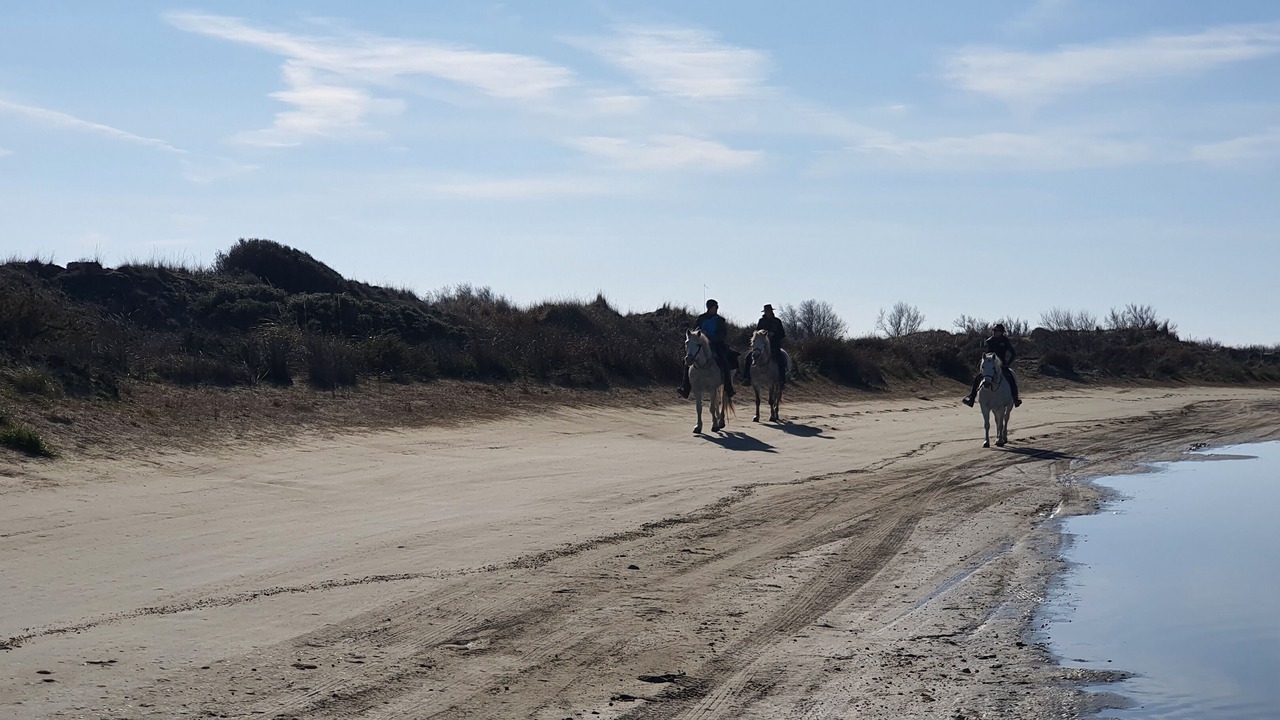 Photo of Others in Saint-Laurent-d'Aigouze