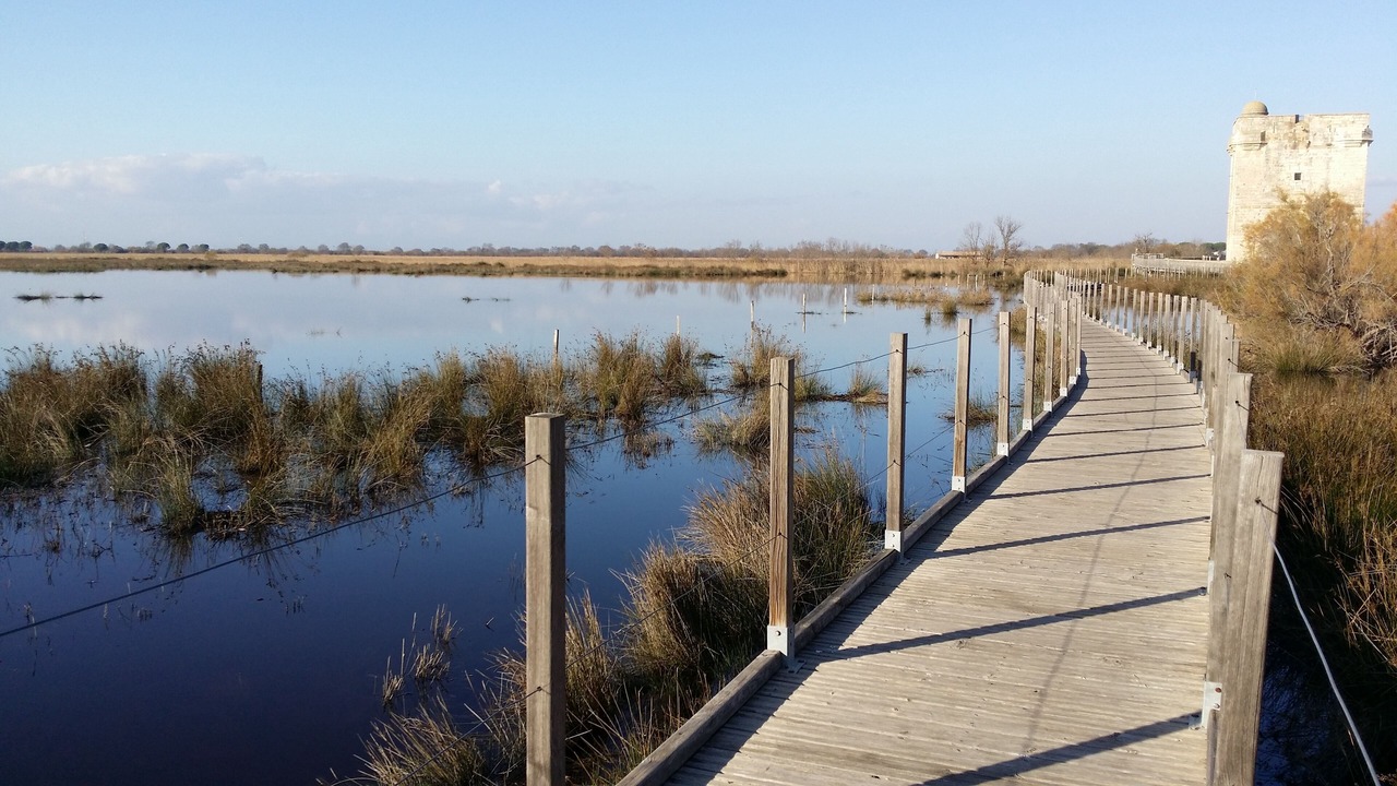 Photo of Outdoor in Saint-Laurent-d'Aigouze