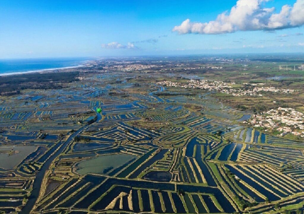 Photo of Outdoor in Olonne-sur-Mer
