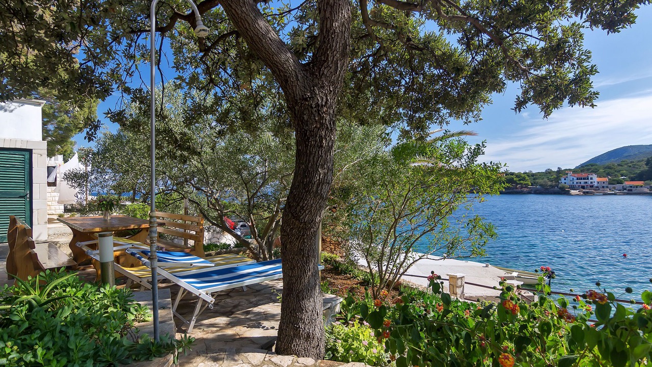 Photo of Outdoor in Pokrivenik