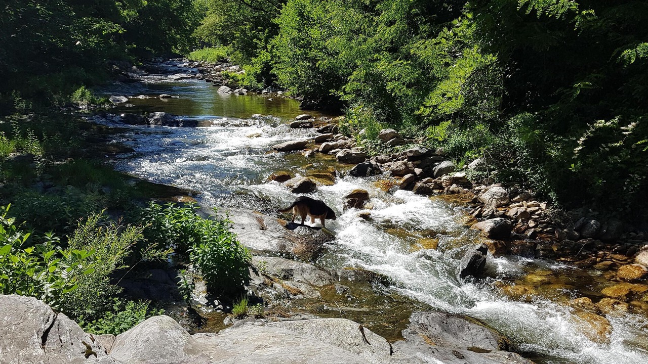 Photo of Outdoor in St Gervais sur Mare