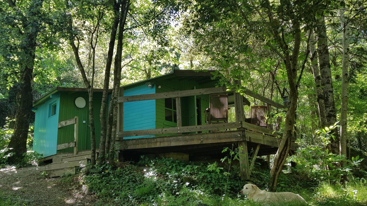 Photo of Outdoor in St Gervais sur Mare