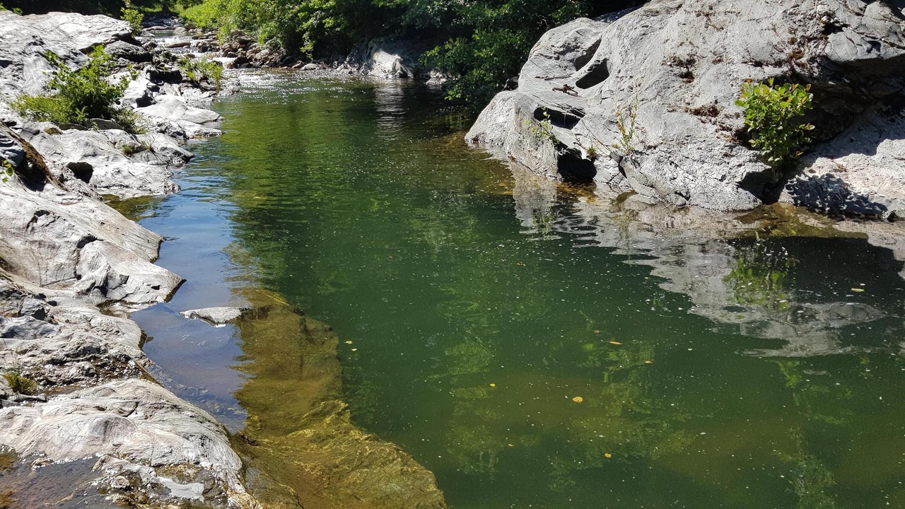 Photo of Outdoor in St Gervais sur Mare