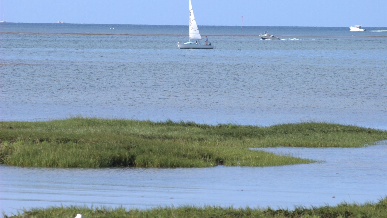 Photo of Others in Sarzeau