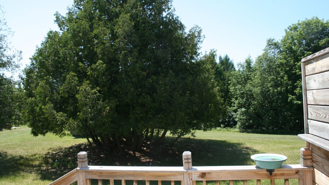 Photo of Others in Lake Leelanau