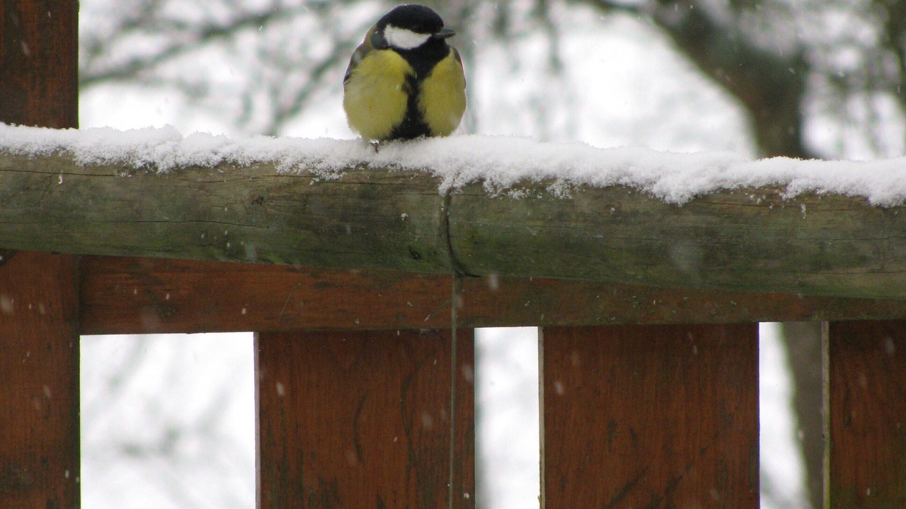 Photo of Outdoor in Oneux