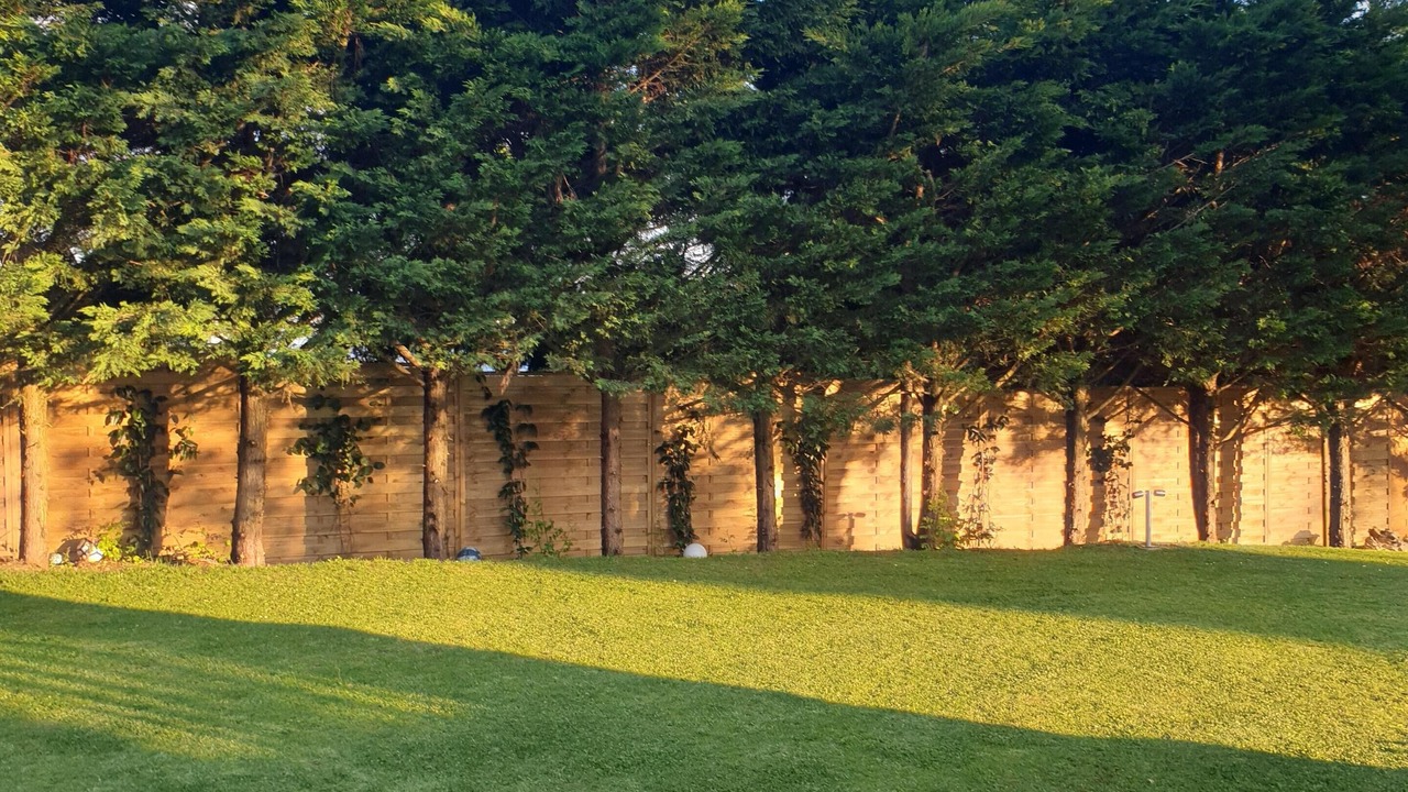 Photo of Outdoor in Tours