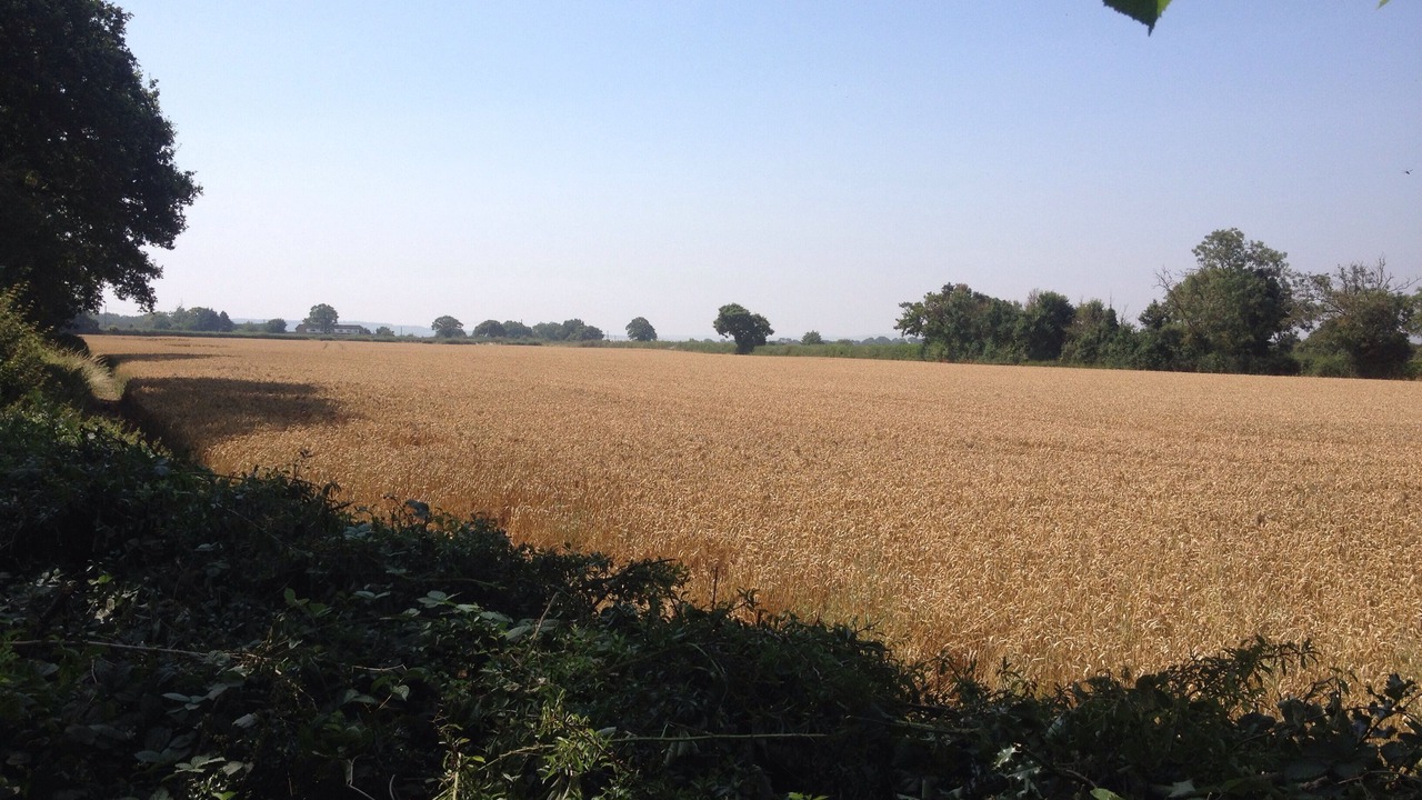 Photo of Others in Wallingford