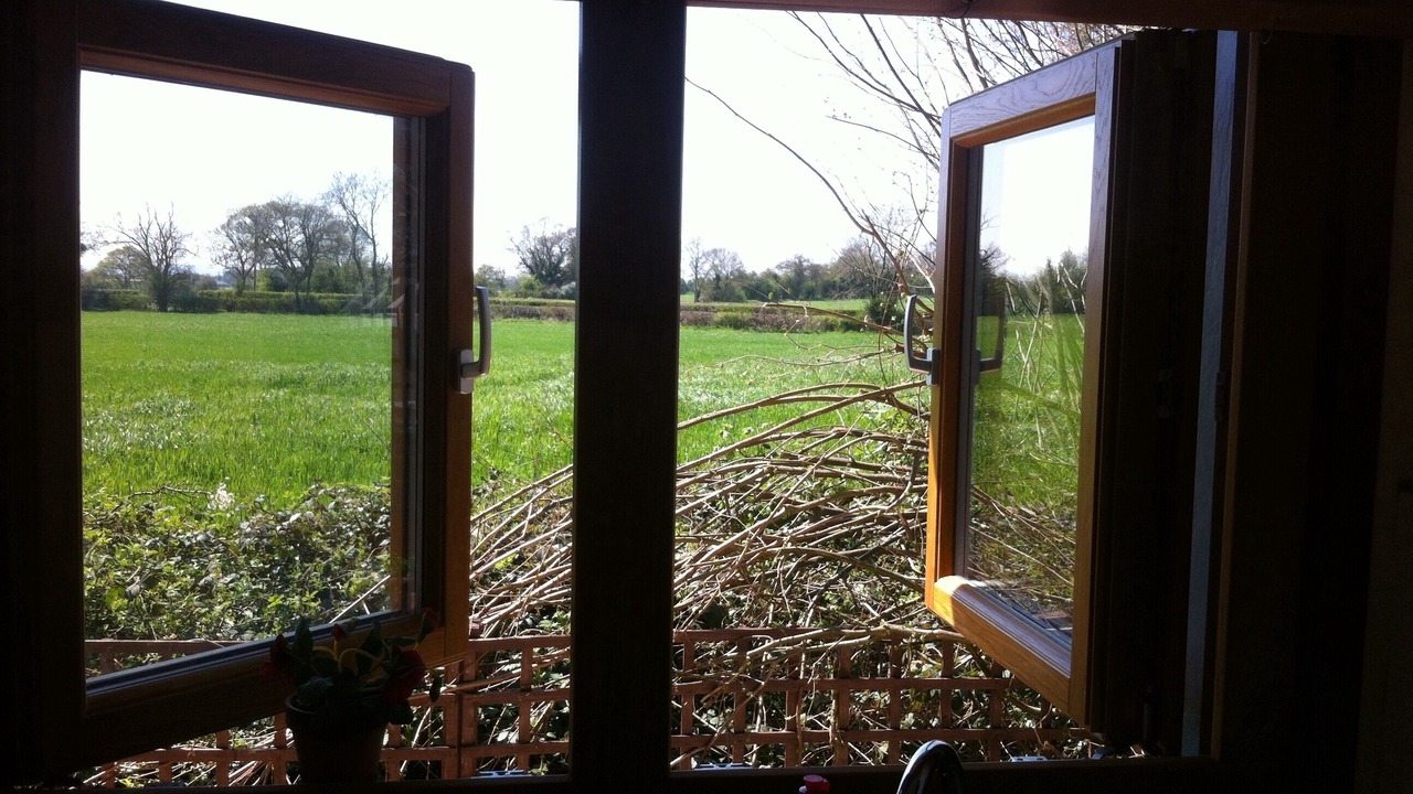 Photo of Others in Wallingford