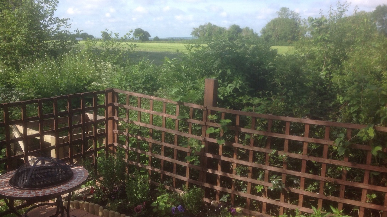 Photo of Outdoor in Wallingford