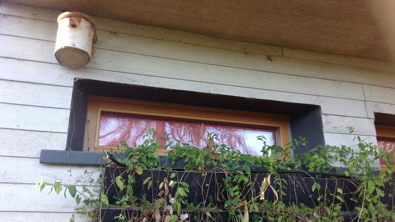 Photo of Outdoor in Wallingford