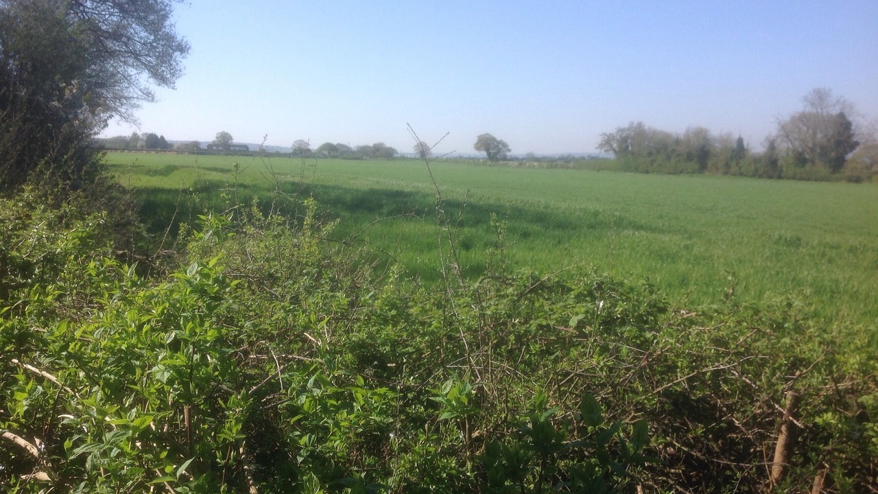 Photo of Outdoor in Wallingford