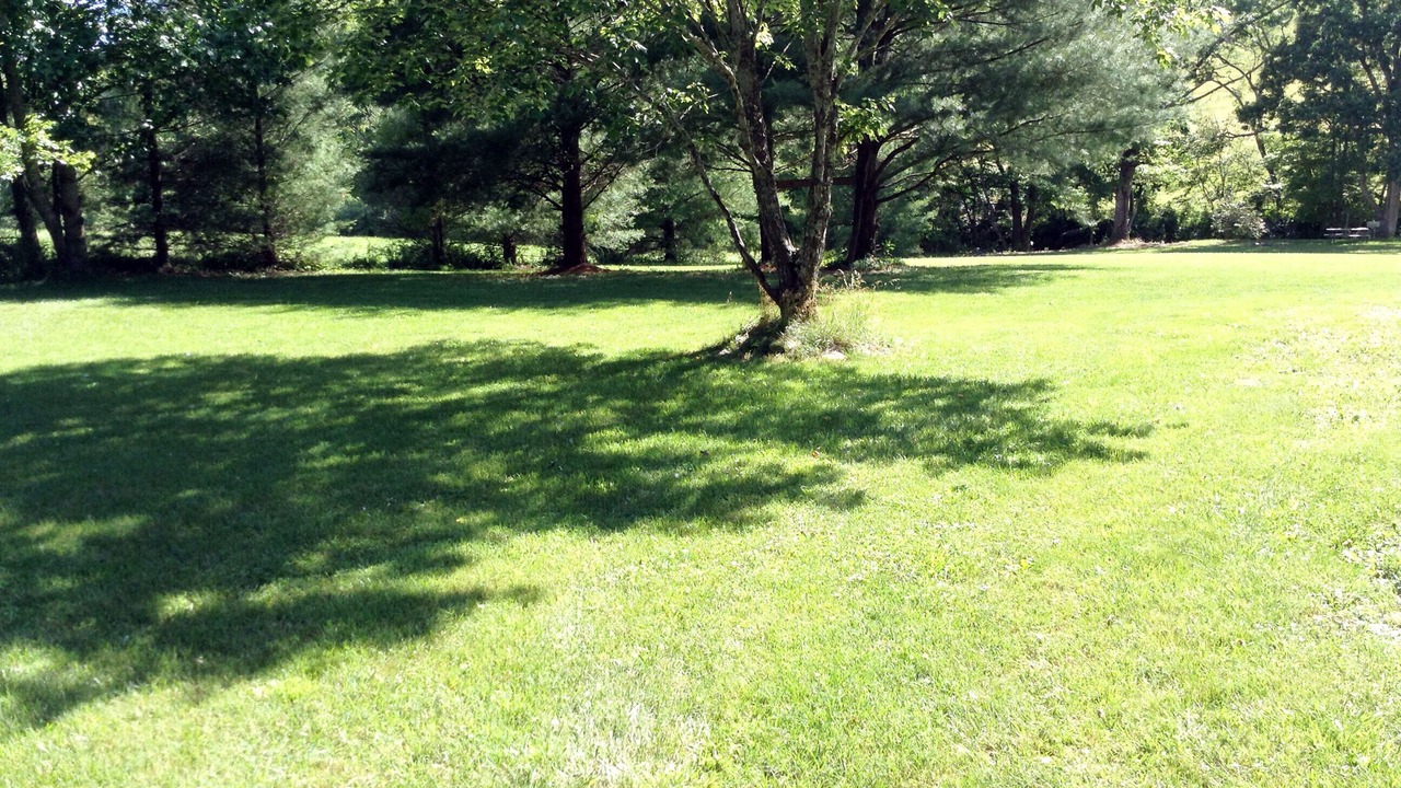 Photo of Others in Woodlawn