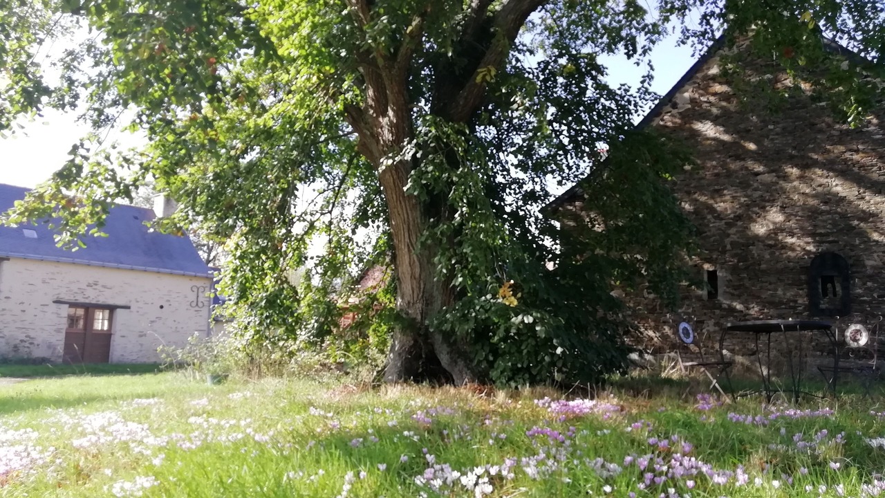 Photo of Outdoor in Joue-sur-Erdre