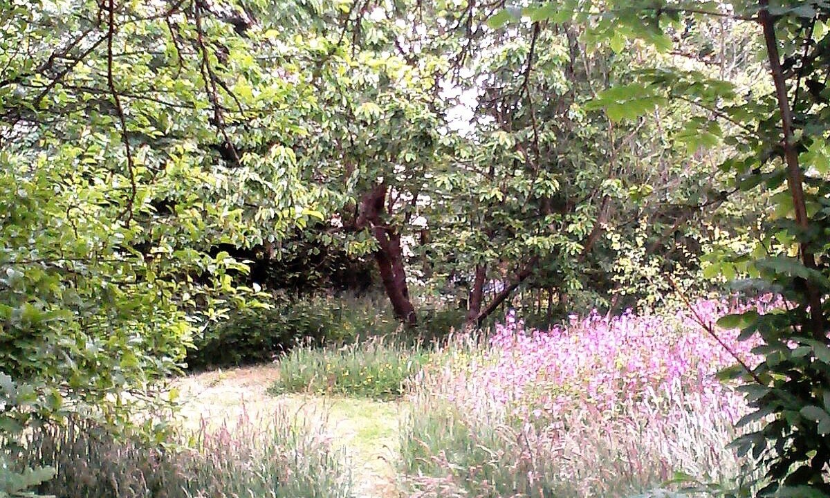 Photo of Outdoor in Gueutteville-les-Gres