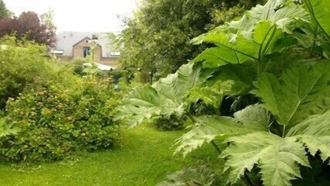 Photo of Outdoor in Gueutteville-les-Gres