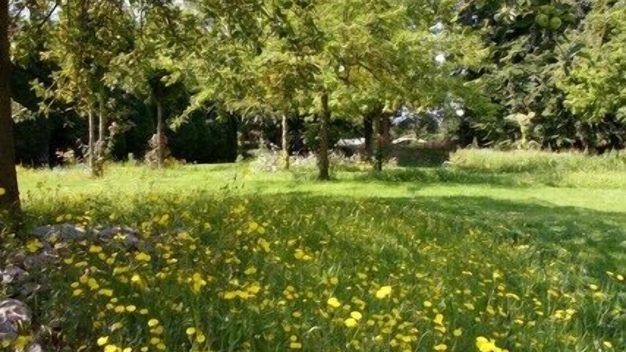 Photo of Outdoor in Gueutteville-les-Gres