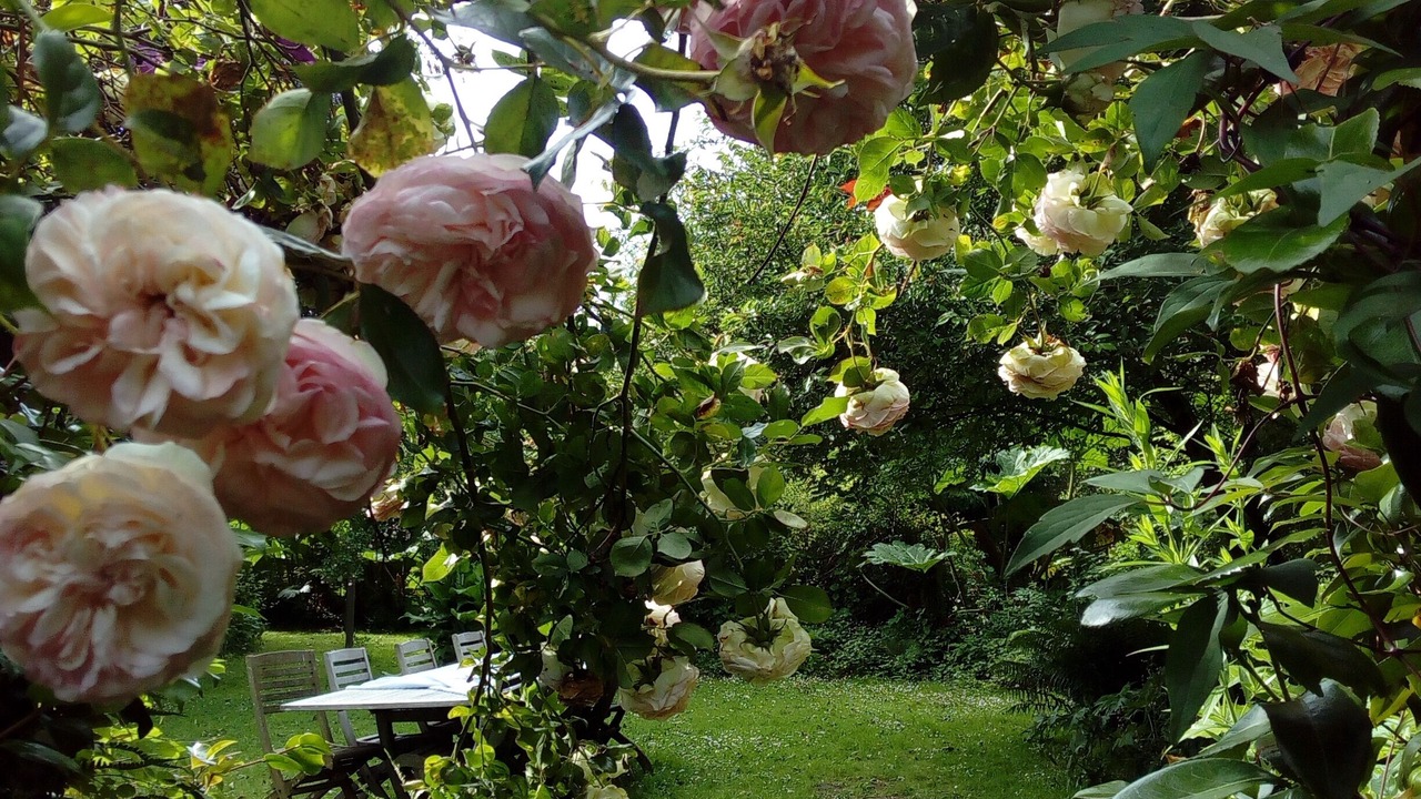 Photo of Outdoor in Gueutteville-les-Gres