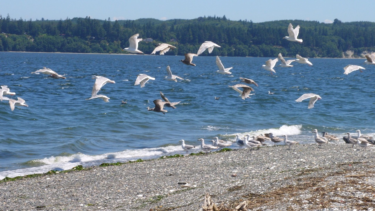 Photo of Others in La Conner