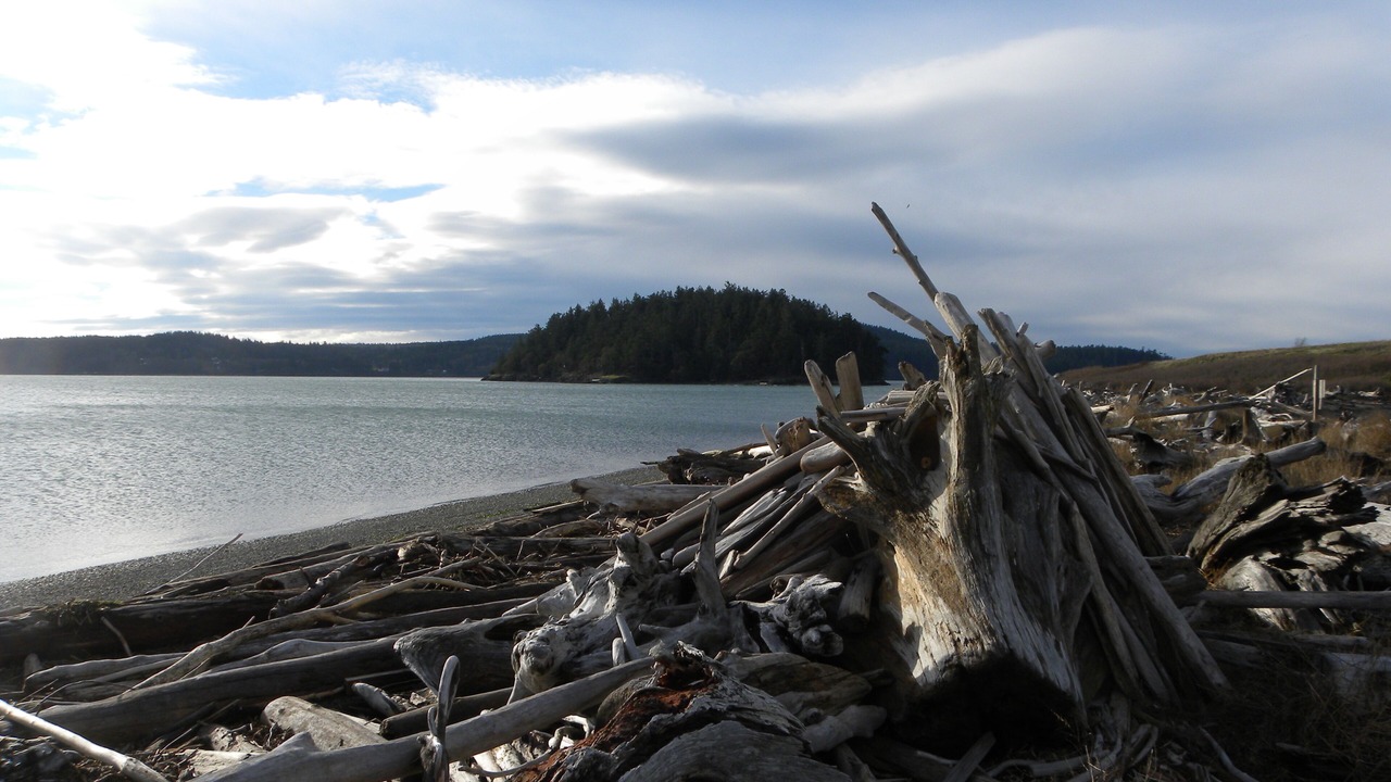 Photo of Others in La Conner