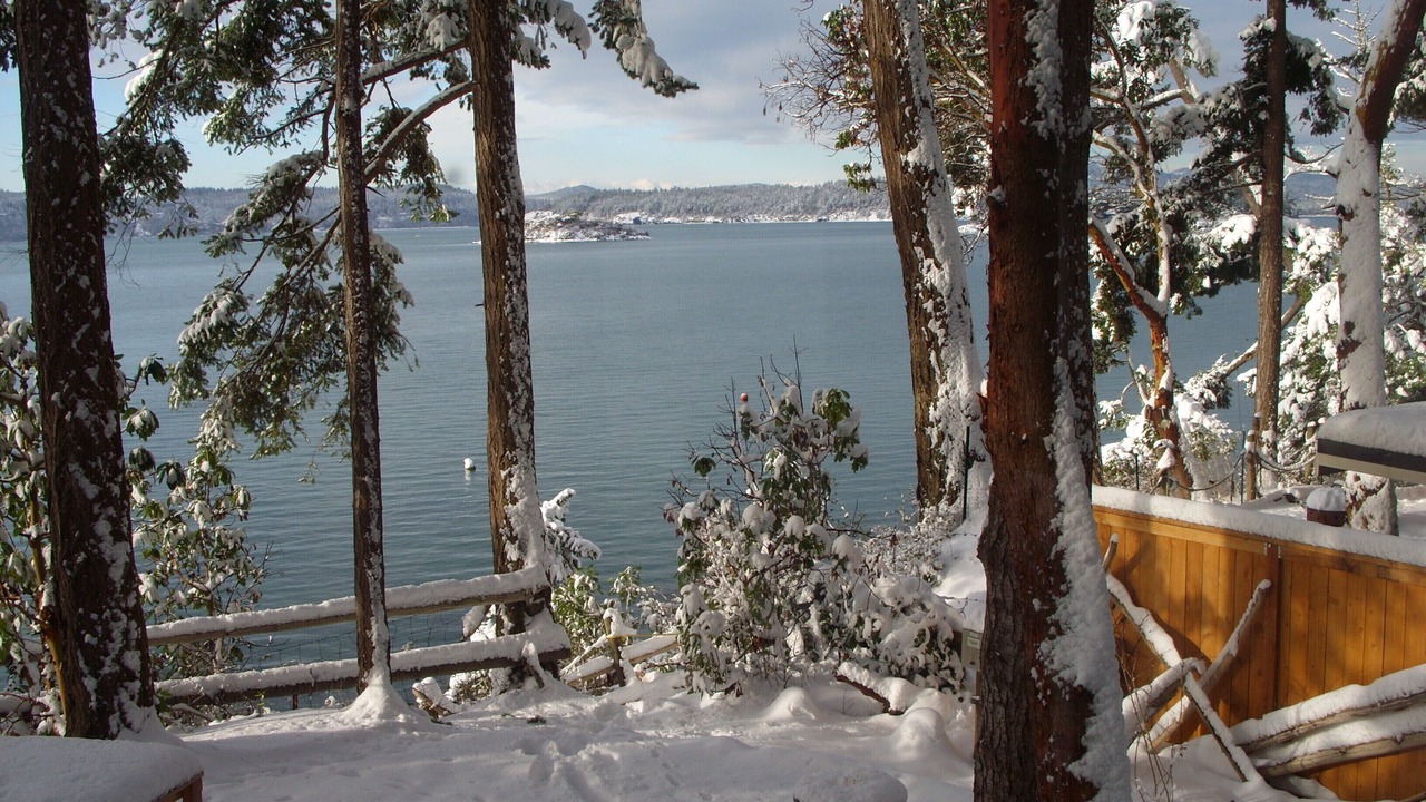 Photo of Others in La Conner