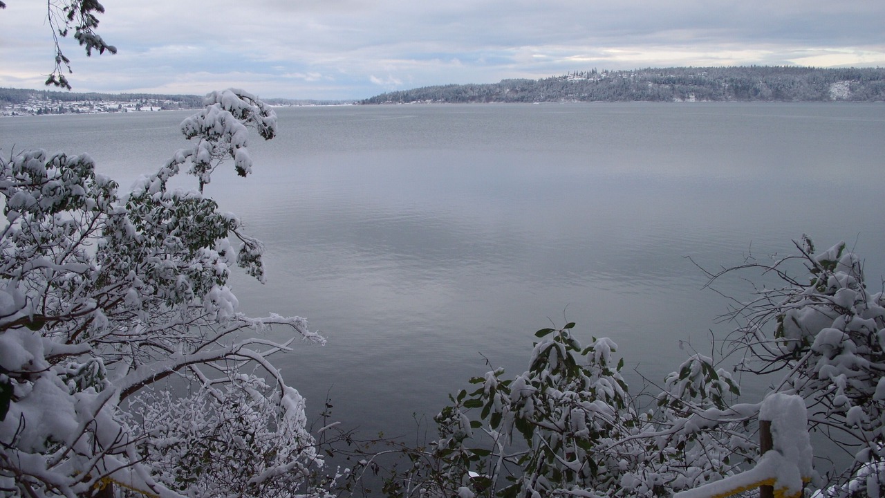 Photo of Others in La Conner