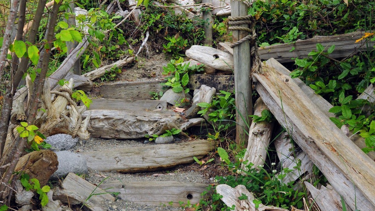 Photo of Others in La Conner