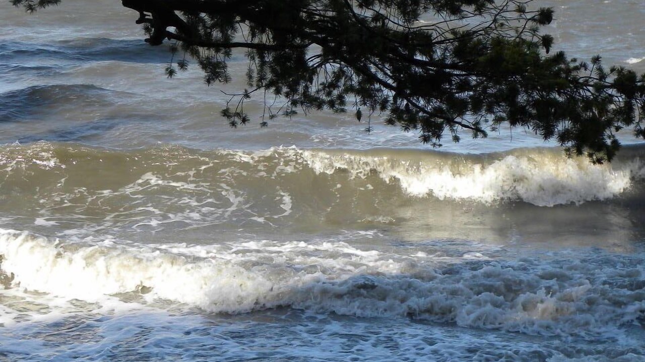 Photo of Others in La Conner