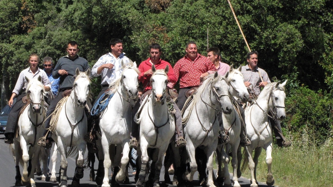 Photo of Others in Galargues