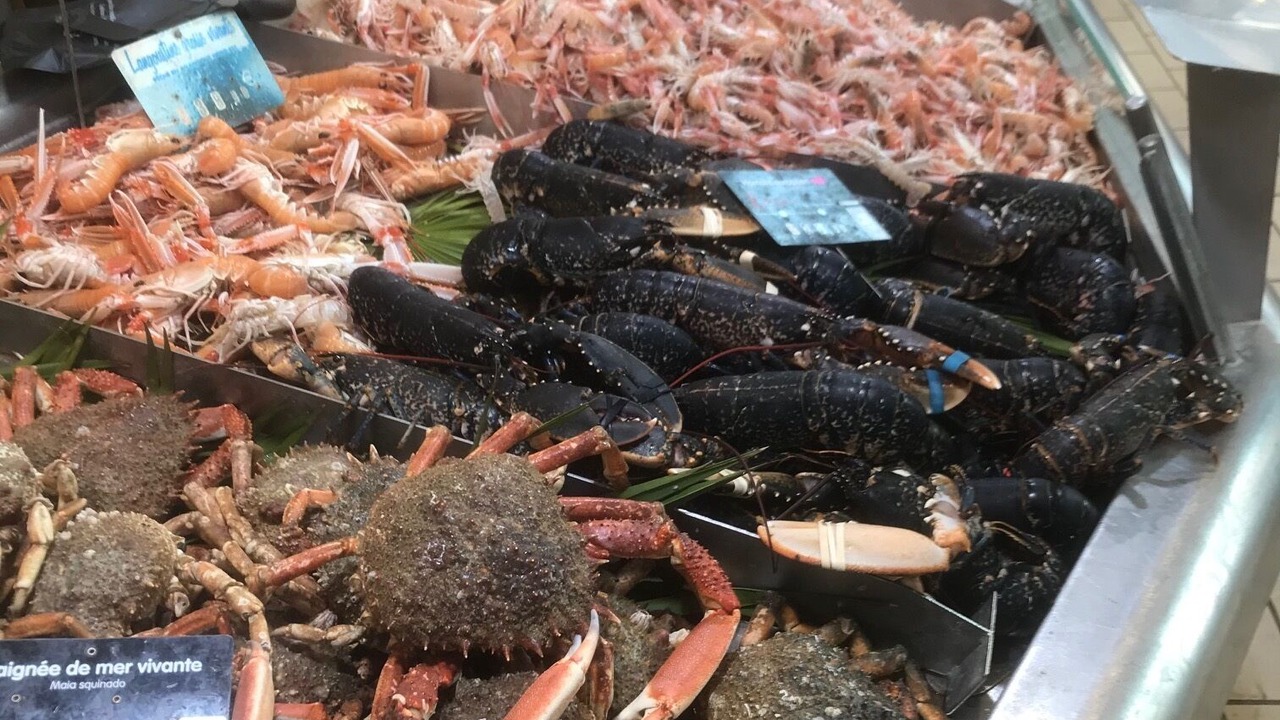 Photo of Others in Pornichet